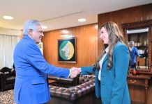 DPM reaffirms Pak commitment to regional peace
