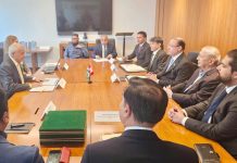 Pakistan minister holds meeting with Canadian development minister