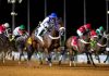 Thundersquall returns to Taif racing for first time since 2024