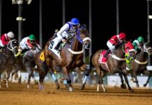 Thundersquall returns to Taif racing for first time since 2024