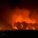 Death toll from Algeria wildfires rises to 12