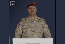 Yemeni forces target Houthi positions across multiple fronts