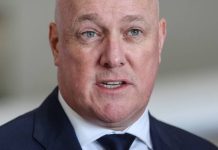 New Zealand moves to ban social media for under-16s | DNA News