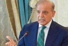PM seeks enhanced collaboration with Japan, says Shehbaz PM seeks enhanced collaboration with Japan, says Shehbaz