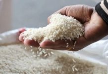 Australian court rejects India’s ‘Basmati’ trademark appeal, in win for Pakistan Australian court rejects India's 'Basmati' trademark appeal, in win for Pakistan