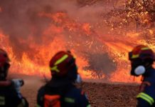 Two dead as firefighting helicopters collide while battling Greece wildfire Two dead as firefighting helicopters collide while battling Greece wildfire