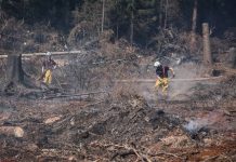 European wildfires reveal a hidden danger: buried bombs and mines from WWI and WWII