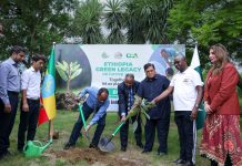 Ethiopian Embassy holds plantation  drive under Green Legacy Initiative