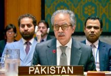 Pakistan urges Houthis to cease ships attacks, slams attempts to weaponise Bab al-Mandab