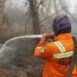 Indonesia rescues second orangutan mother and baby from wildfire