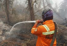 Indonesia rescues second orangutan mother and baby from wildfire