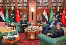 Egypt, Pakistan, Saudi Arabia, Türkiye FMs meet in New York Egypt, Pakistan, Saudi Arabia, Türkiye FMs meet in New York