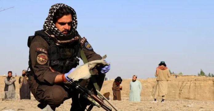 NEWS Afghanistan says 28 fighters killed after crossing from Pakistan; Islamabad denies ties