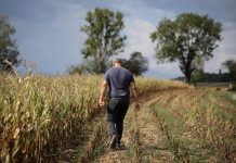 Farming experts tout ‘conscious’ food systems to fix agriculture woes