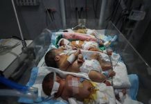 Why battered Gaza’s premature babies face a struggle beyond survival