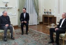 US pressure fostering closer ties among Muslim countries, Iran’s Pezeshkian tells Naqvi