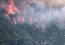 Wildfires, heatwaves endanger air quality, health: UN