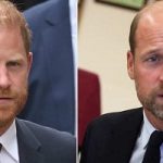 Prince Harry’s friend drops biggest truth about Duke’s secret reunion with William