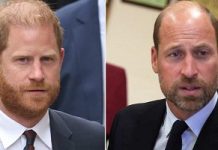 Prince Harry’s friend drops biggest truth about Duke’s secret reunion with William