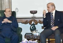 President Zardari, PM Shehbaz meet