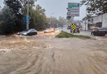 Heavy rain and flooding in Istanbul forces closure of schools