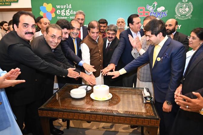 DNA 24-6 RCCI celebrates World Egg Day 2026