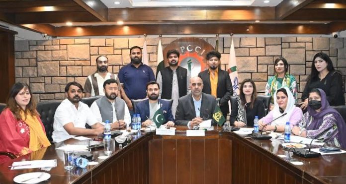 DNA 7-8 FPCCI committee meets to discuss Pakistan's import and export trade