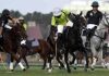 Saft Club wins Fourth Deputy Commissioner Polo Cup after thrilling final Saft Club wins Fourth Deputy Commissioner Polo Cup after thrilling final