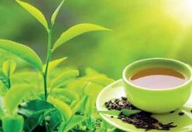 Tea imports grew 24.74% in 2 months of FY2027 Tea imports grew 24.74% in 2 months of FY2027