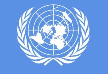 At UN, Pakistan demands urgent ceasefire in Ukraine after four years of war At UN, Pakistan demands urgent ceasefire in Ukraine after four years of war