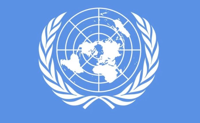 NEWS At UN, Pakistan demands urgent ceasefire in Ukraine after four years of war