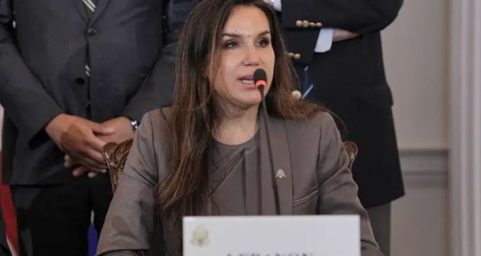NEWS Washington denounces complaint leveled against Lebanon envoy