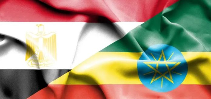 NEWS Egypt expels Ethiopian embassy adviser in tit-for-tat diplomatic move