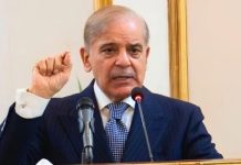 PM Shehbaz seeks suspension of long-term projects in KP, urges short-term steps