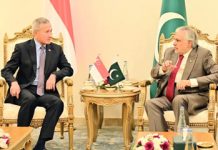 DPM Dar, Singaporean FM discuss ways to enhance cooperation in trade, investment