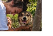 Pakistani business delegation visits Save the Dogs in Cernavodă