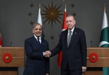PM Shehbaz says relations with Turkiye from cordial to excellent
